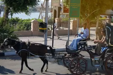 Luxor city tour by horse carriage